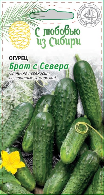 Огурец Брат с Севера (Сибирская серия) 0,25 гр цв.п.